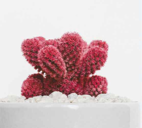 在线手机号测压